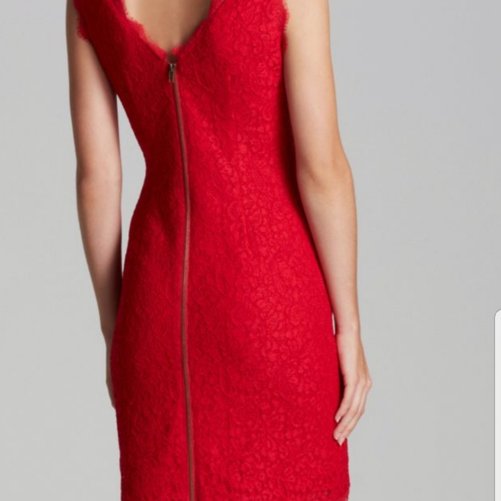 Adrianna Papell lace dress